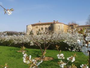 Hotels Chateau de Bagnols : photos des chambres