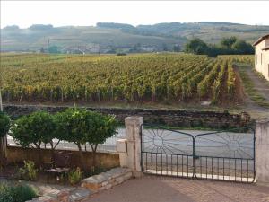 B&B / Chambres d'hotes LA VIGNERAIE : photos des chambres