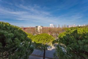 Appartamento con 2 Camere da Letto