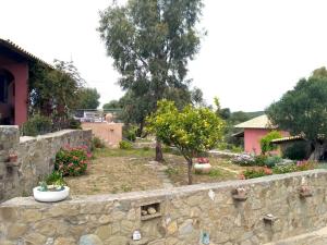 Lovely cottage in the wildnature Messinia Greece