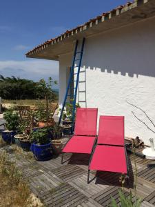 B&B / Chambres d'hotes La Mer & La Dune : photos des chambres