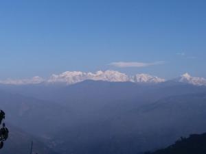 VAMOOSE CHAMLING