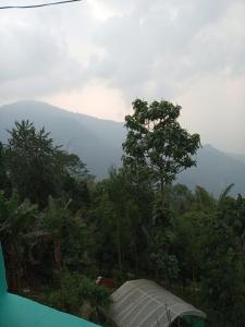 VAMOOSE CHAMLING