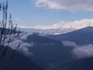 VAMOOSE CHAMLING