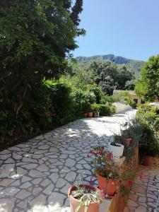 Marilena Studios And Apartments Corfu Greece