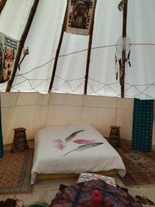 Le Tipi du Phare Ouest photo 9
