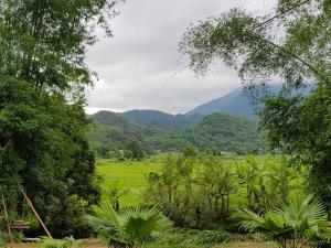 Mai Chau Home