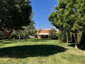 Plane Tree House - Nea Makri
