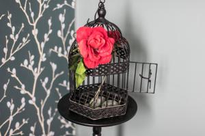 Classy green Old town apartment