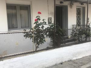 Efesos spacious home