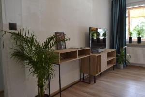 N17 Apartament