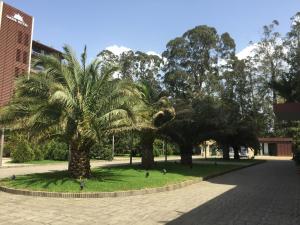 Отель Оазис в Чакви