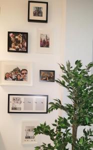 La Casa de Cayetana AT-47-44