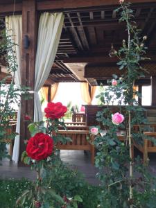 Отель Оазис в Чакви