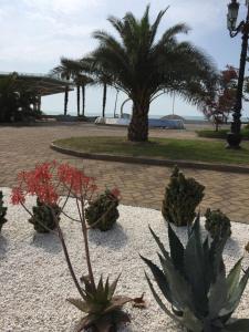 Отель Оазис в Чакви