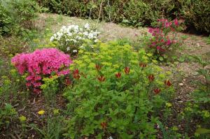 Maisons de vacances Gite Les Coquelicots : photos des chambres