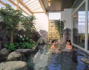 ホテル　湯沢湯沢でんき屋 (Hotel Yuzawa Yuzawa Denkiya)