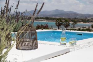 The Sand Collection Villas Paros Greece