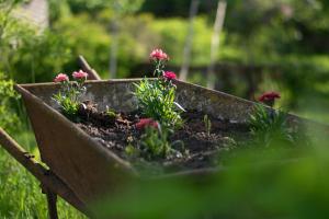 Pensiunea Colt de Munte