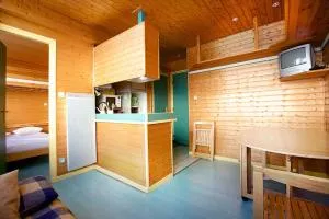 Appartement la Cabane d'Engaly - 阿拉纽埃