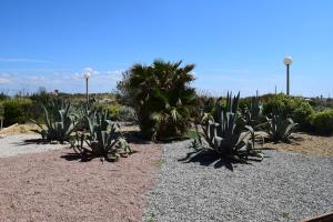Hotels Hotel Les Dunes : photos des chambres