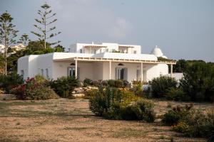 The Sand Collection Villas Paros Greece