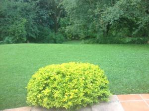 Emfuleni Bed and Breakfast