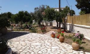 Lemon Garden Corfu Greece