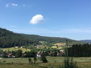 Chalets Chalet LE TREMPLIN - wifi, BBQ, parking : photos des chambres