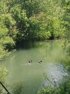 River Bank Apartments & Castle view - 4hvězdičkové hotely ve městě Bihać