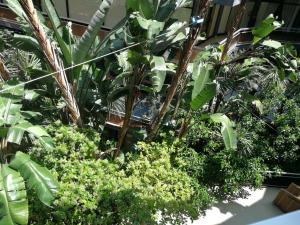 Monti Guest House Alghero img9