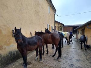 Campings earl domaine du plec : photos des chambres