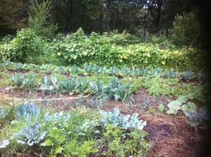 earl domaine du plec