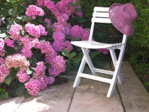 Appartements LES HORTENSIAS : photos des chambres