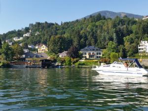 3 stern ferienhaus Villa Margarethe Millstatt am See Österreich