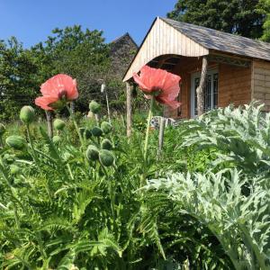 Maisons de vacances Chez Anna : photos des chambres