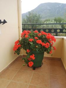 Hotel Patelis