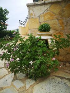 Hotel Patelis