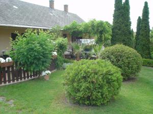 Örökzöld Apartmanok Balatonfenyves