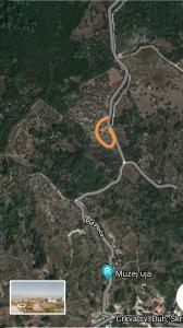 Robinson crusoe style house "MASLINA