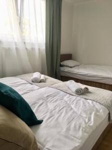 Apartament 212