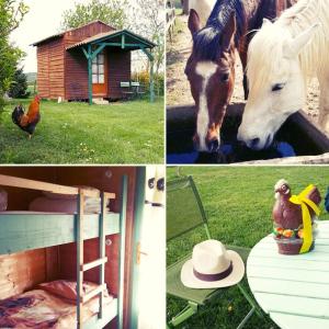 Campings Ferme equestre Les Chevaliers : photos des chambres