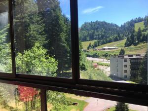 Apartment Belle-Hutte photo 9