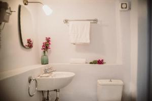 Celestia Traditional Houses