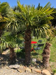 B&B / Chambres d'hotes Aux Belles Vacances - ADULTS ONLY : photos des chambres