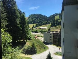 Apartment Belle-Hutte photo 15
