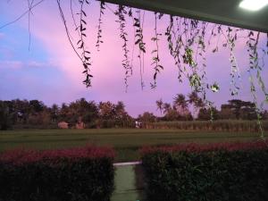 Private pool Villa Sawah Sewon