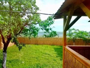 Casa Batranului Pescar - Old Fisherman's House - Jurilovca