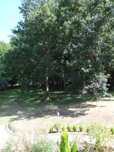 Domaine de La Bessade