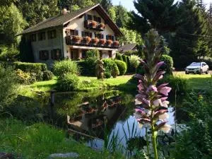 Chambres d'Hôtes des Cascades St-Nicolas - Kruth